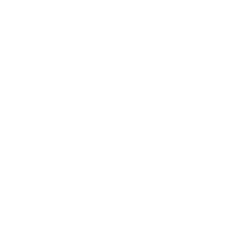 Logo PUUR.WEBDESIGN